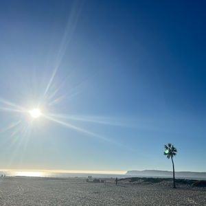 Meet your Posher, Mackenzie